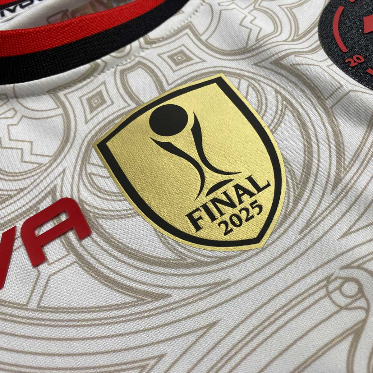FCZM Final 2025 JSY